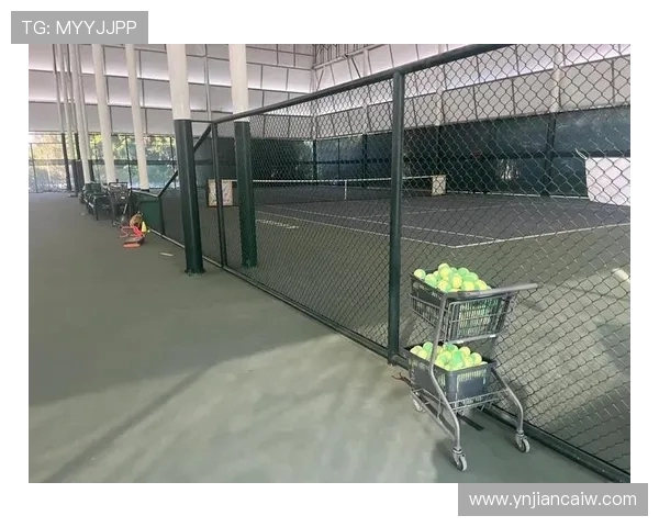 网球运动的起源与发展：从草地到硬地的历史变迁与未来趋势