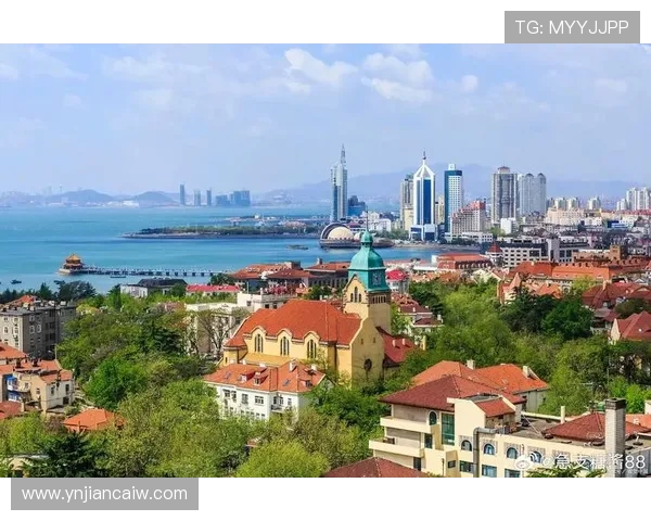 奋进蓝色新引擎青岛西海岸打造高质量发展创新示范区