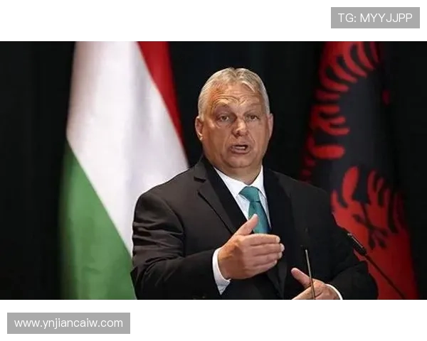 专访杨丽:探寻她在篮球领域取得成功的秘诀与心路历程 专访杨丽:探寻她在篮球领域取得成功的秘诀与心路历程