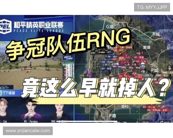 和平精英盛典：深入解析RNG战队背后的强大实力与团队精神