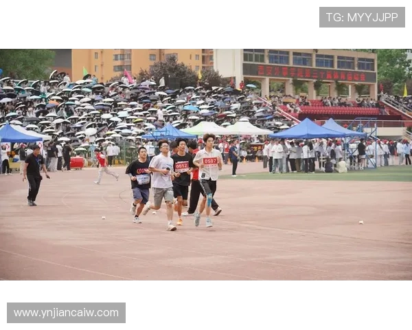 西安攀岩队在极限运动会中的意识表现与团队协作分析