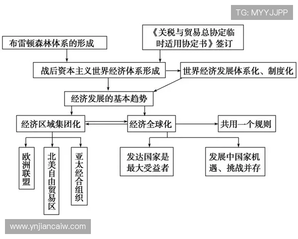 《从草根到顶尖赛场足球的演变与全球化影响》