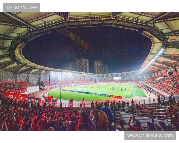 从绿茵场到世界舞台探寻足球运动的激情与文化魅力