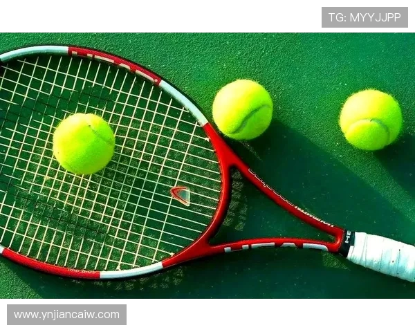 在绿色赛场上追逐梦想探寻网球运动的激情与智慧之美