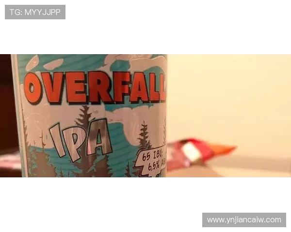 原生力啤酒与黑水精英的对决谁能赢得市场的青睐与消费者的心